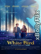 White Bird 2024 Dual Audio (ORG) [Hindi+English] Hollywood Hindi Dubbed Movie Download